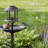 Bird Bath-1353438701