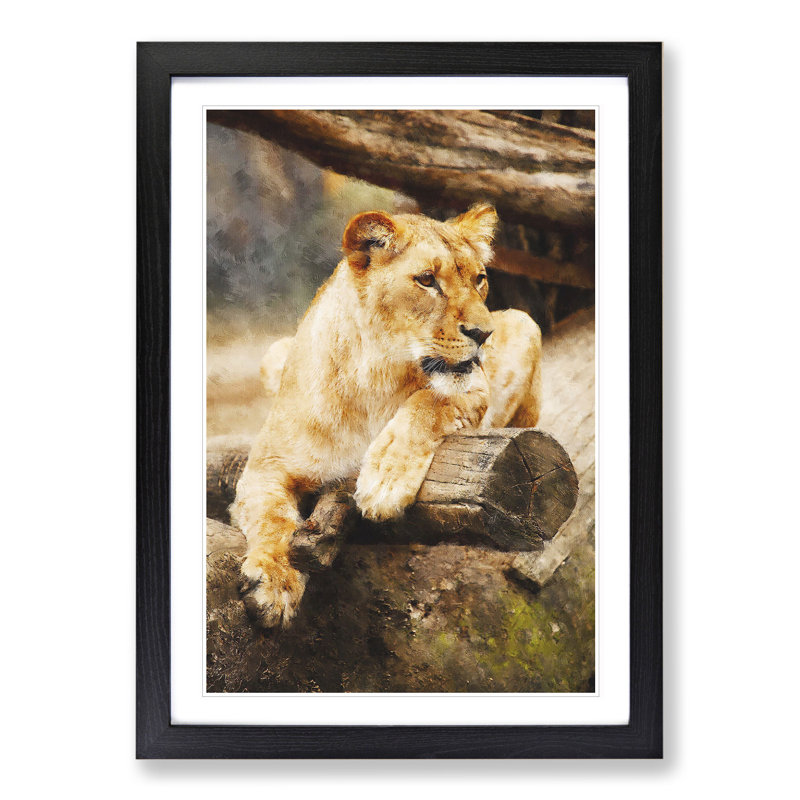 Lioness - Picture Frame Graphic Art, Black Framed, 48cm H x 36cm W x 2cm D