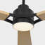 Ventilateur de plafond Smart 60 DEL-2039974963-2039974956
