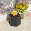 Table d'appoint Felishia-444909092-444909095