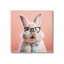Az-124-Toile de lapin dans des verres-93954721