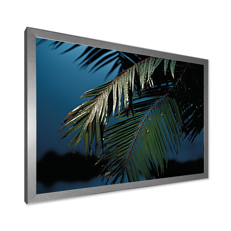 «Sapphire Solitude Palm Tree Night», reproduction sur toile, Cadre photo argenté, H 12 po x l 20 po x P 1 po