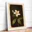 Pale Bloom Study Botanical - Print-257193802-257193807