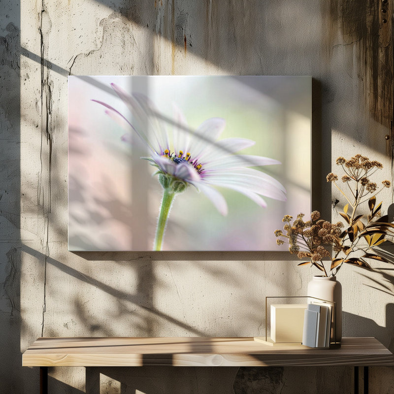 Wrapped Canvas Print, 81.28 cm H x 121.92 cm W