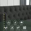 Canapés modernes en velours, design élégant Chesterfield pour le salon