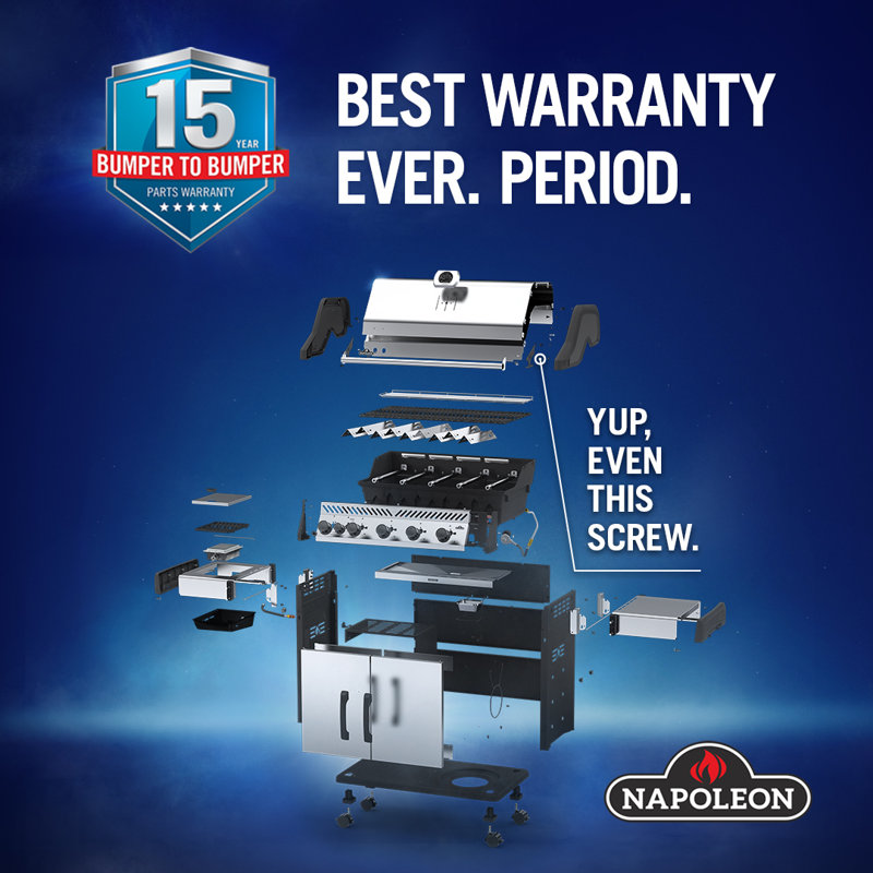 Napoleon Rogue 2-Burner Propane Gas Grill with Cabinet
