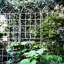 Ensemble de 2 treillis de jardin en métal 86,7 po x 19,7 po, antirouille blanc crème, supporte les plantes grimpantes comme les vignes, les raisins, les pois, la rouille à installation rapide, les haricots, l'installation facile