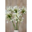 Arrangement-111171323
