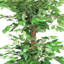 Ficus artificiel 72 po en pot