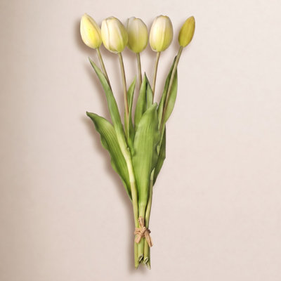 Tulip Floral Stems
