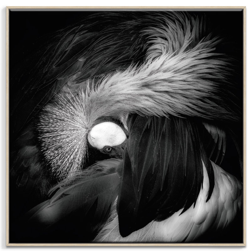 Print on Canvas, Timber, 41cm H x 41cm W
