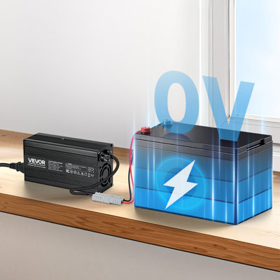 Chargeur de batterie 12V 12V 20A au Lithium 14,6V AC-DC LiFePO4 pour véhicule récréatif