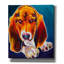 «Hound» par Dawg Painter-1221200451