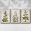 «Munting Botanicals IV», ensemble de 3 toiles encadrées-97708883-97708884