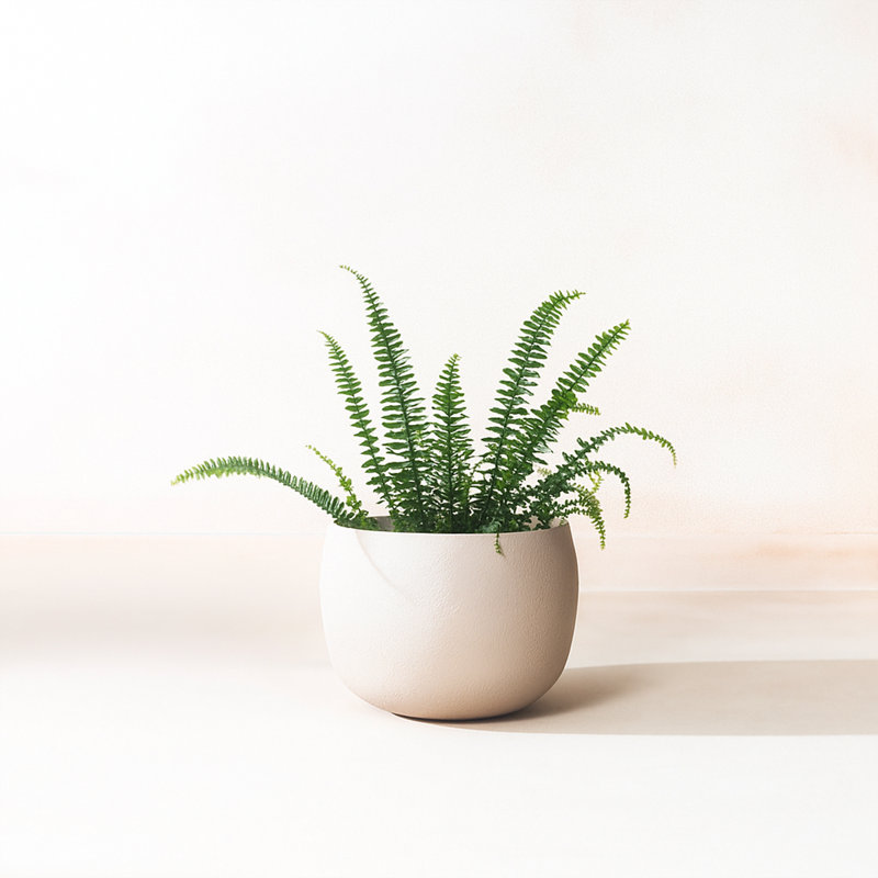 Pot à fleurs rond fait à la main intérieur / extérieur avec drainage Eden, Petit, Beige