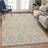 Machine Washable Indoor/Outdoor Chantille ACN2670 Modern Rug-1730985270-1730985257