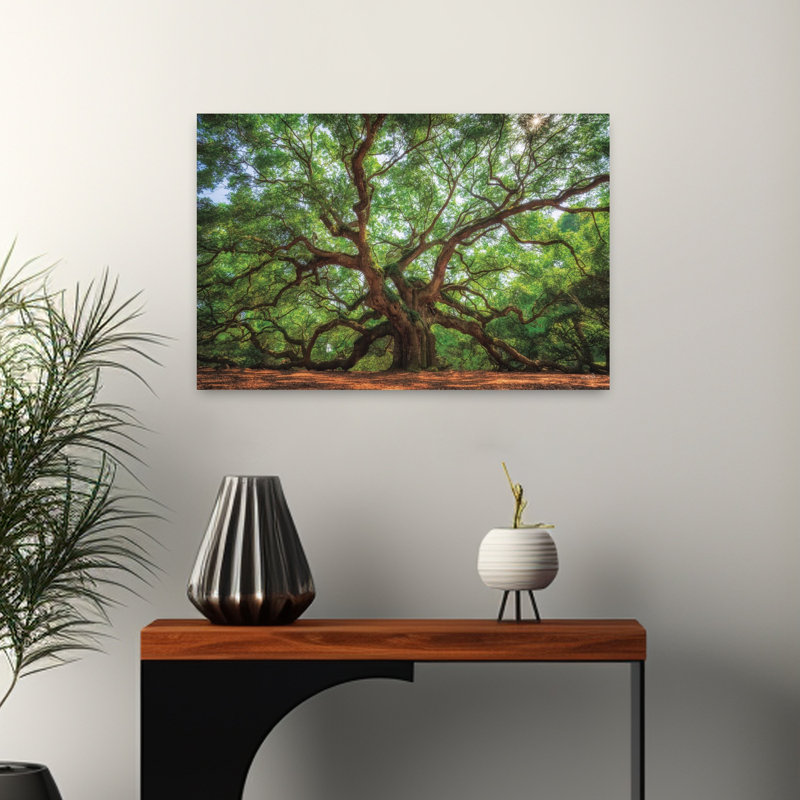 Ange chêne à Charleston, art contemporain de chêne, paysage naturel, H 16 po x l 24 po