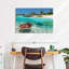 Tortue des Caraïbes-107699355