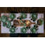 Cabbage Earthenware Tureen