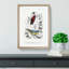 Bird Illustrations PL. 16 by Charles d Orbigny - Framed Print-55457086-55457090