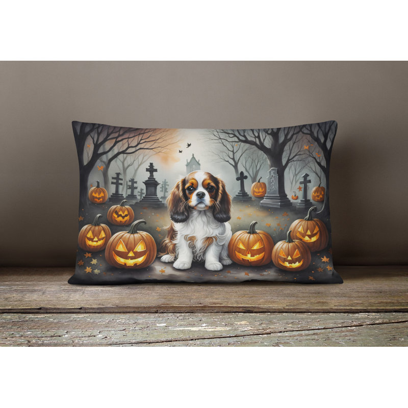 Other/No Pattern Outdoor Throw Pillow