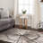 Abstract Indoor Rug-235019309