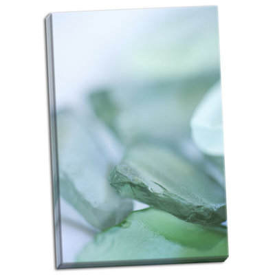 'Sea Glass VIII' Photographic Print on Wrapped Canvas