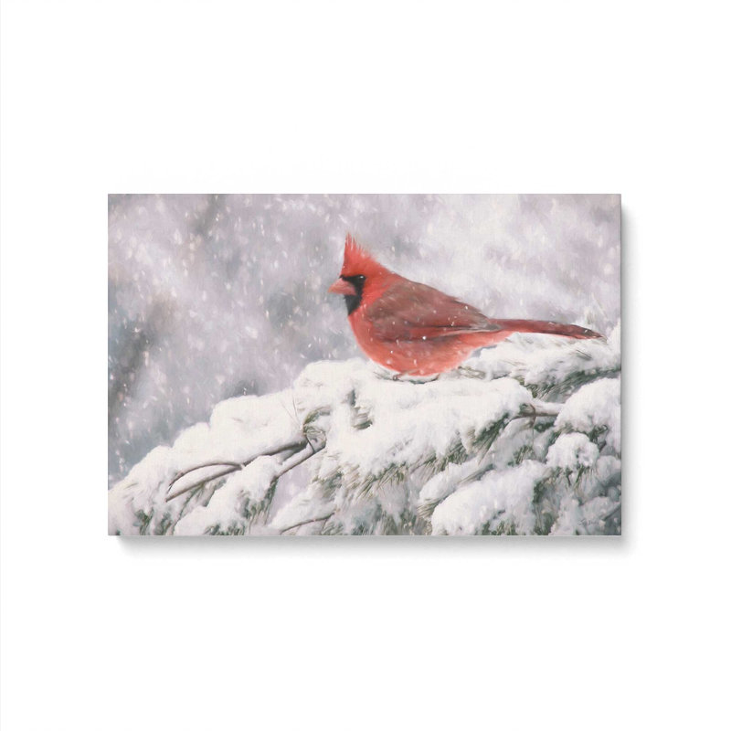 «Winter Cardinal I» par Lori Deiter, reproduction d'art, L 36 x H 24, Ne s’applique pas, Toile tendue