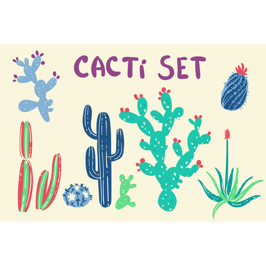 Cactus And Succulent Plants - Wrapped Canvas Print