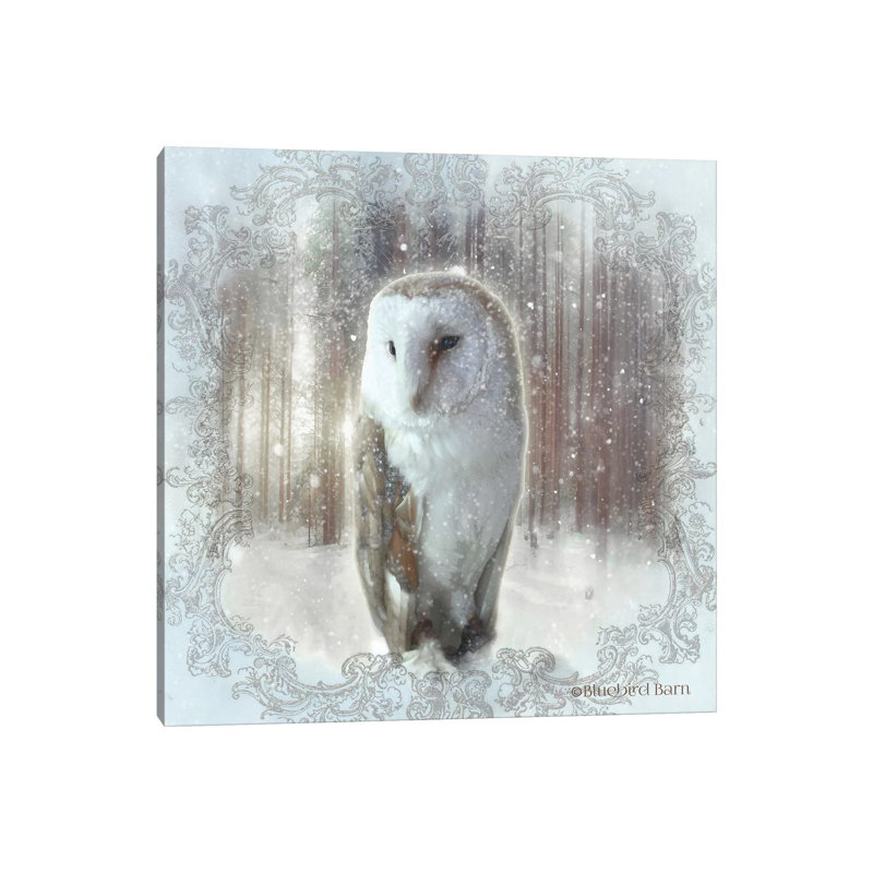 Enchanted Winter Owl by Bluebird Barn - Wrapped Canvas Print, 66.04 cm H x 66.04 cm W x 1.91 cm D