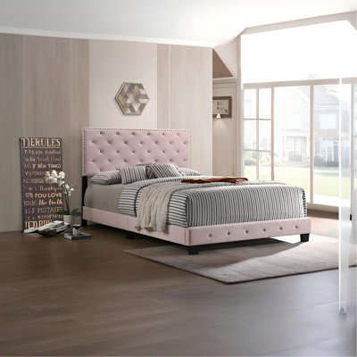 Lit double rose transitionnel