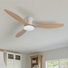 Ventilateur de plafond à profil bas 52 po avec lumières DEL et télécommande Karlena (ensemble de 2)