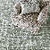 Hazen Hand Tufted Wool Geometric Indoor Rug