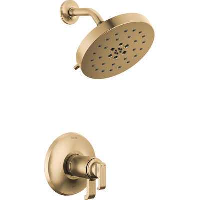 Tetra 17T Series Dual-Function Shower Faucet Set, H2Okinetic Shower Head Trim Kit, Shower Trim