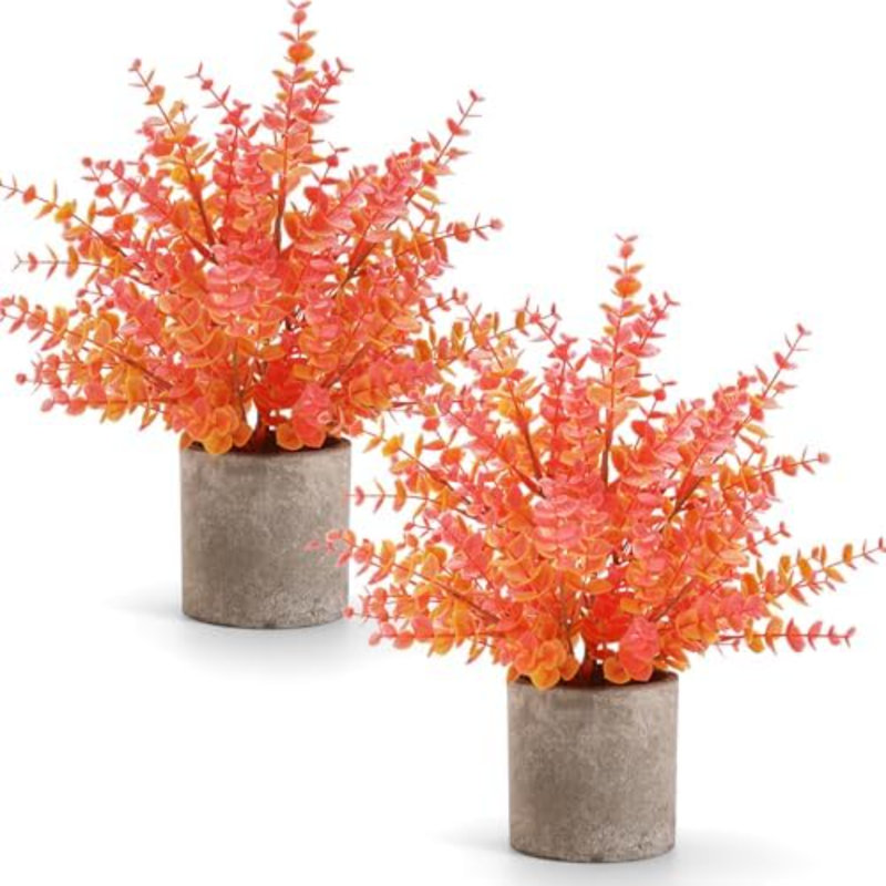 Ensemble de 2 petites plantes artificielles en pot 14 po Eucalyptus en pot plantes artificielles décorations d'automne