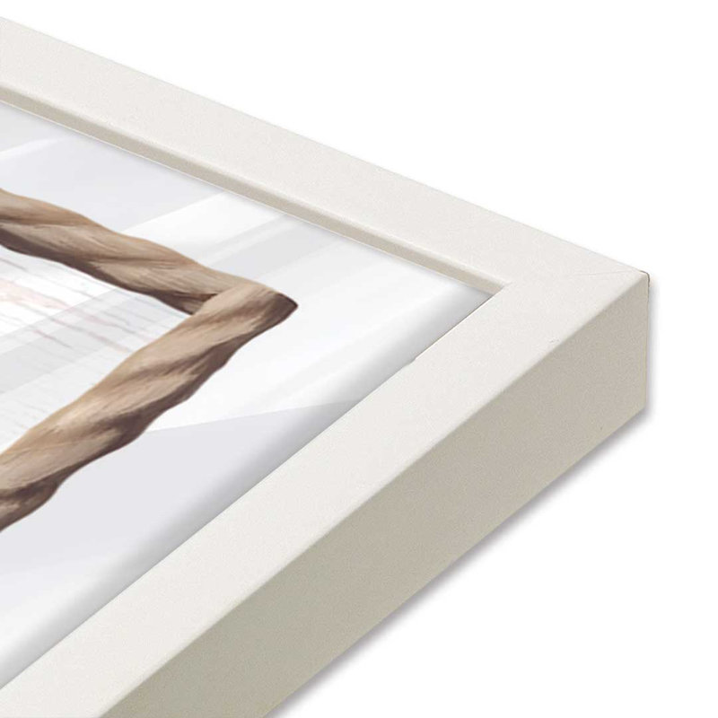«Beach Shells II» par Elizabeth Tyndall, reproduction d'art, L 30 po x H 30 po, Impression encadrée, Blanc