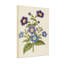 Motif floral de plantes et de fleurs avec fleurs bleues et mauves-964733426