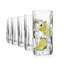 Parallels Highballs