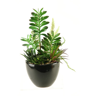 14'' Faux Plant in Ceramic Planter
