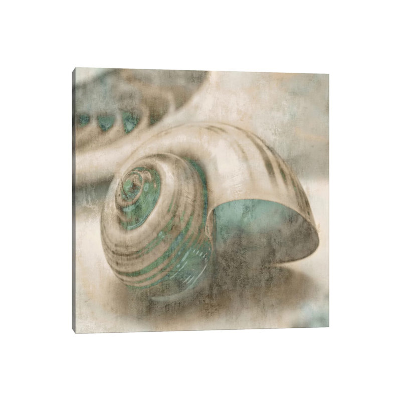Coastal Gems II by John Seba - Print on Canvas, Wrapped Canvas, 93.98 cm H x 93.98 cm W x 1.91 cm D