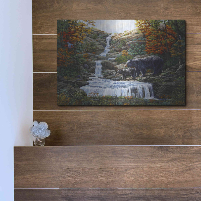 «Black Bear Falls» par Crista Forest, H 12 po x l 16 po