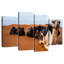 Camels In Morocco-108857567