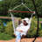 Victorian Tufted Polyester Hammock Hanging Chair with Cushion - Gray-836548644