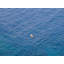 Blue Solitude Print by Vincent Dupont Blackshaw-65852383-65826585