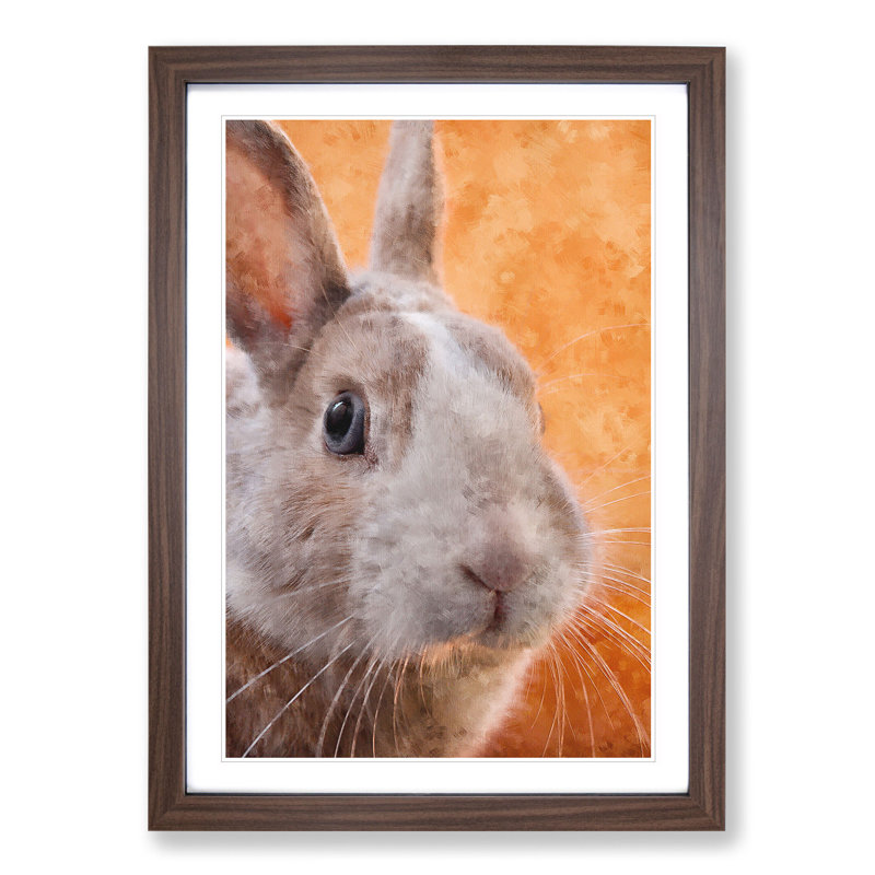 Bunny Rabbit in Colour - Picture Frame Graphic Art, 36cm H x 27cm W x 2cm D, Walnut Framed