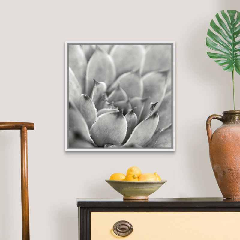 " Garden Succulent I " by Laura Marshall, White Framed Canvas, 20" H x 20" W x 1.75" D