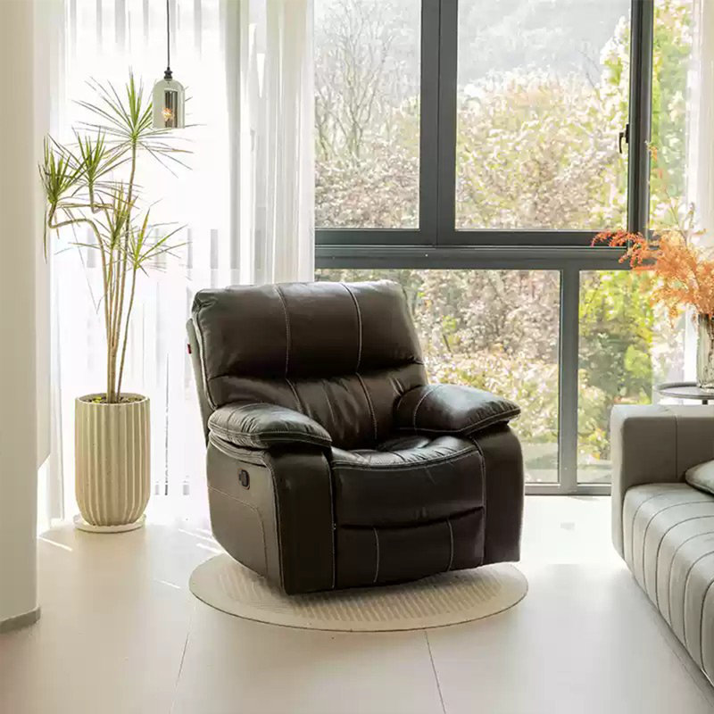 Silent adjustable recliner, Brown