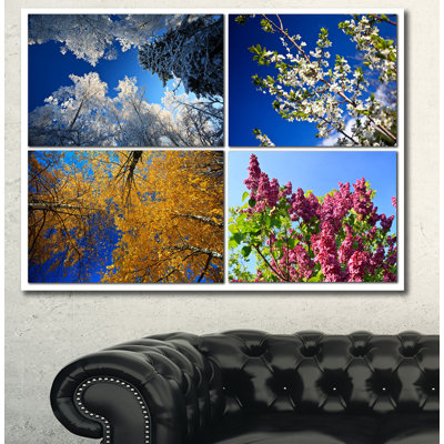 " Four Seasons Of Nature Collage "