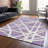 Machine Washable Indoor/Outdoor Chayden ACN1040 Rug-906480256