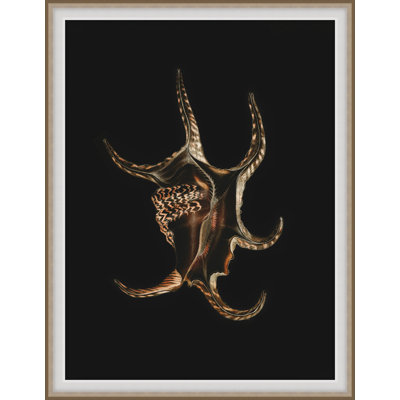 Wild Calm 5 Framed Print